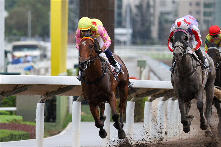 SING DRAGON winning the HIGH WEST HANDICAP