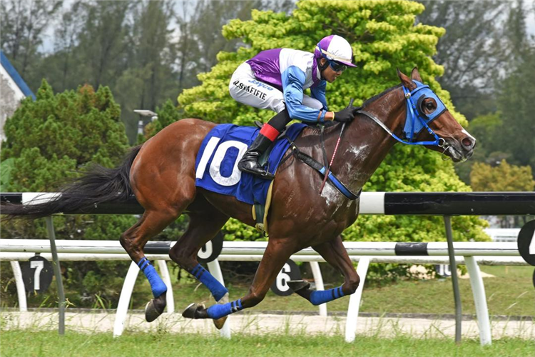 SINGHA BAY winning the Race 5 (732)