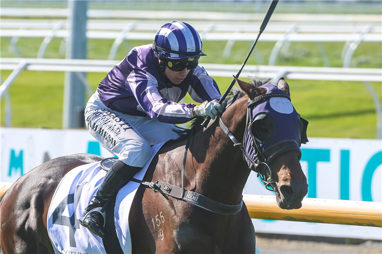 SIR ALBERT winning the SOTHYS SPRING CLASSIC