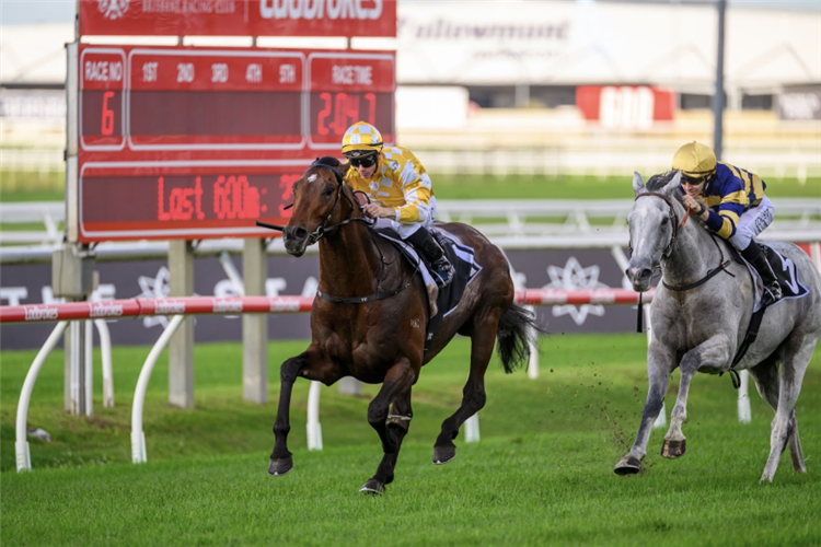 SIR DELIUS winning the Jra Chairman's Handicap - Group 3
