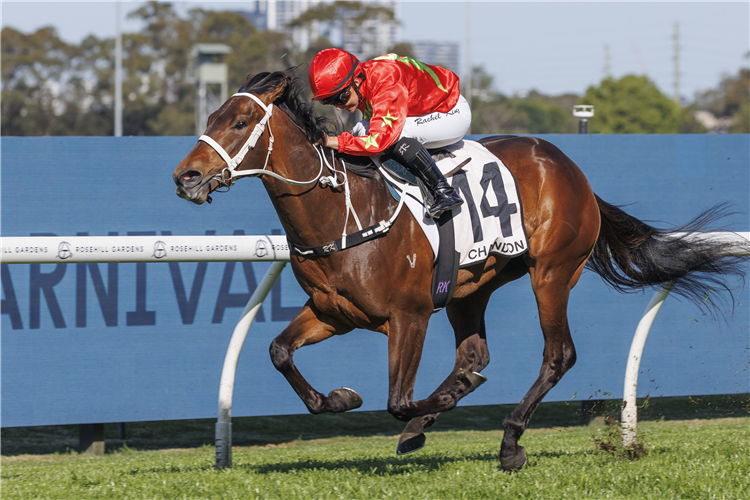 SIXTIES winning the CHANDON MING DYNASTY QUALITY at Rosehill in Australia.