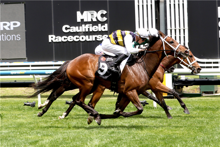 SKIPPERS CANYON winning the Sharp EIT Solutions Handicap