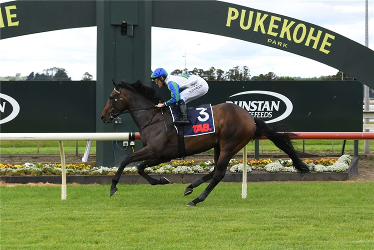 SMART LOVE winning the MAJESTIC HORSE FLOATS