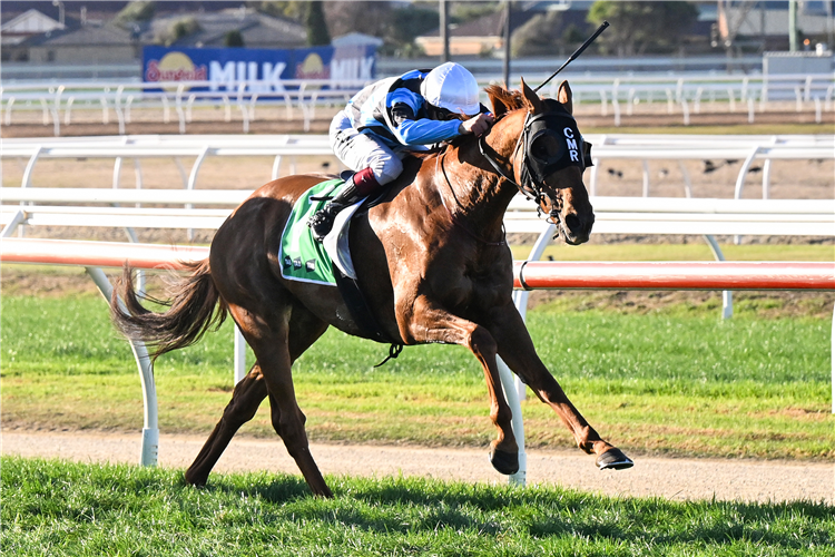 SMOKIN' ROMANS winning the Sungold Milk Warrnambool Cup at Warrnambool in Australia.