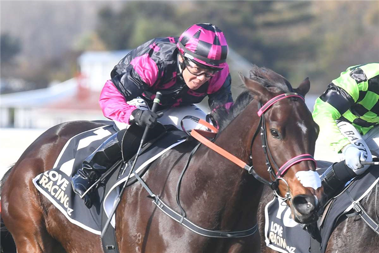 SNIPSNAP winning the SOUND ELECTRICAL MDN
