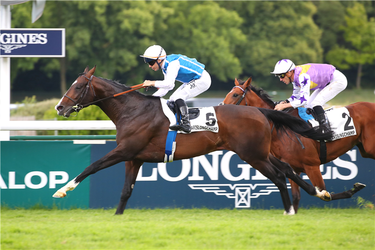 Sosie arrives at Sha Tin in good form after a solid run in the G1 Prix de l’Arc de Triomphe (2400m)