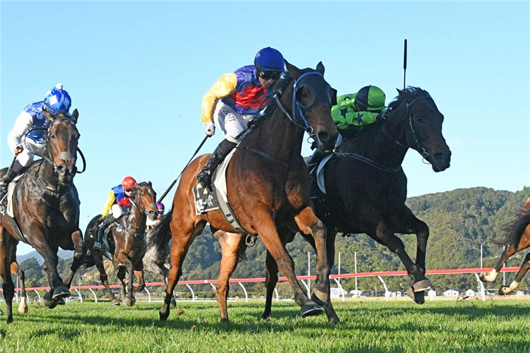 SOTIRIO winning the AUSTRALIAN TURF CLUB AUTUMN SPRINT FINAL