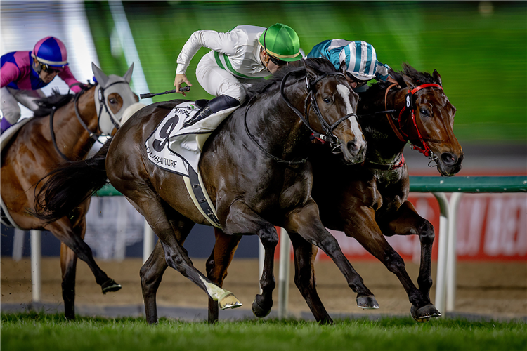 Soul Rush (outside) edges out Romantic Warrior in a cliffhanger finish to the G1 Dubai Turf.