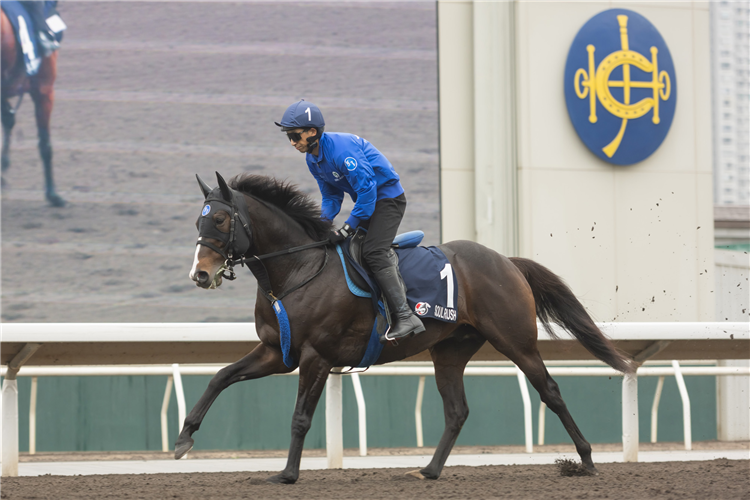 SOUL RUSH - LONGINES Hong Kong International Races Wednesday Trackwork