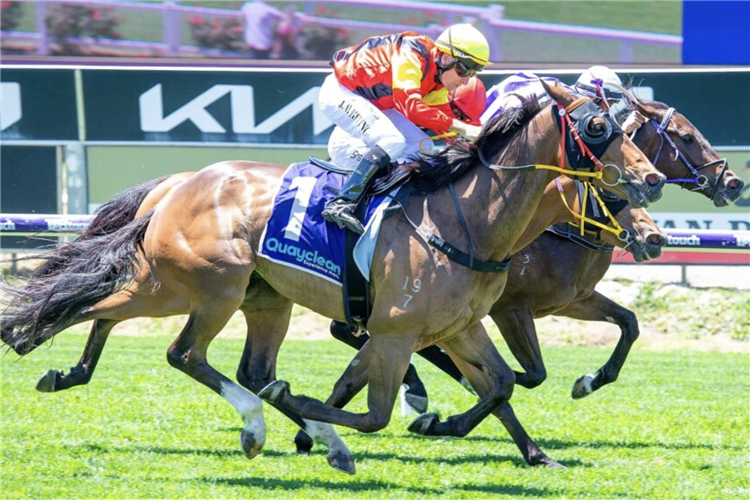 SPEED DREAM winning the Quayclean Handicap