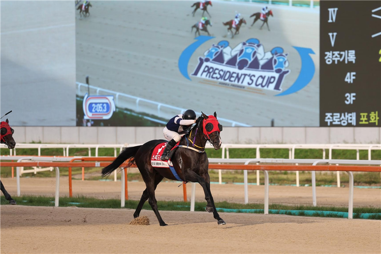 SPEED YOUNG winning the Class Open Weight for Age