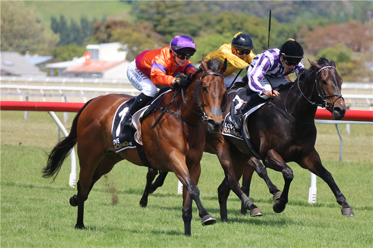 SPENCER winning the MANAWATU ITM