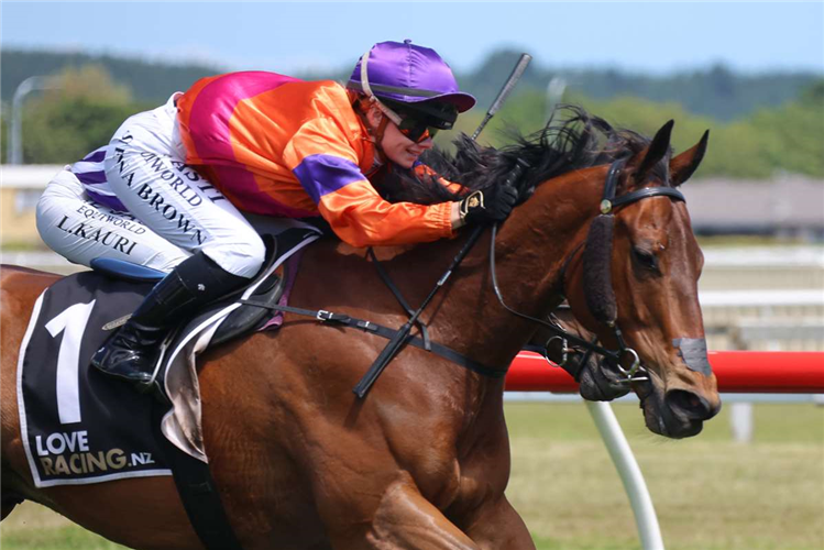 SPENCER winning the MANAWATU ITM