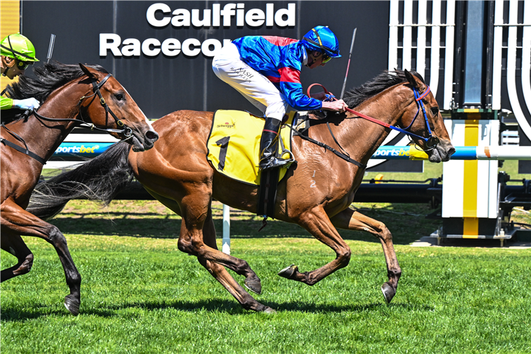 SPICY LU winning the Schweppes Ethereal Stakes at Caulfield in Australia.