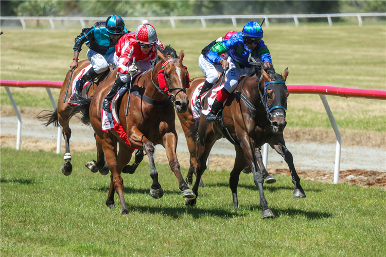 SPROCKET ROCKET winning the WESTLAND RACING CLUB MISS SCENICLAND STAKES