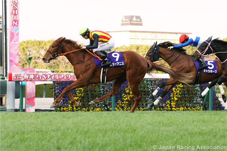 STAR ANISE winning the Hanshin Juvenile Fillies at Hanshin in Japan.