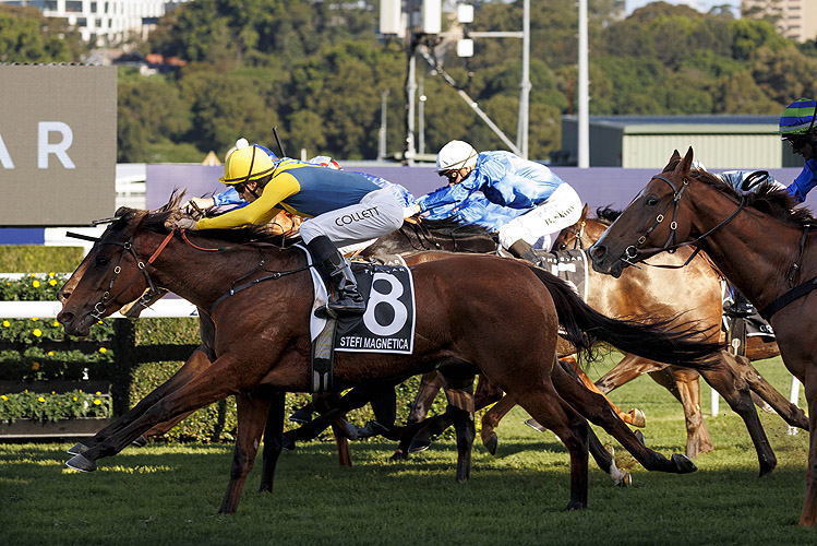 「磁性仙妃」胜出唐卡斯特英里赛