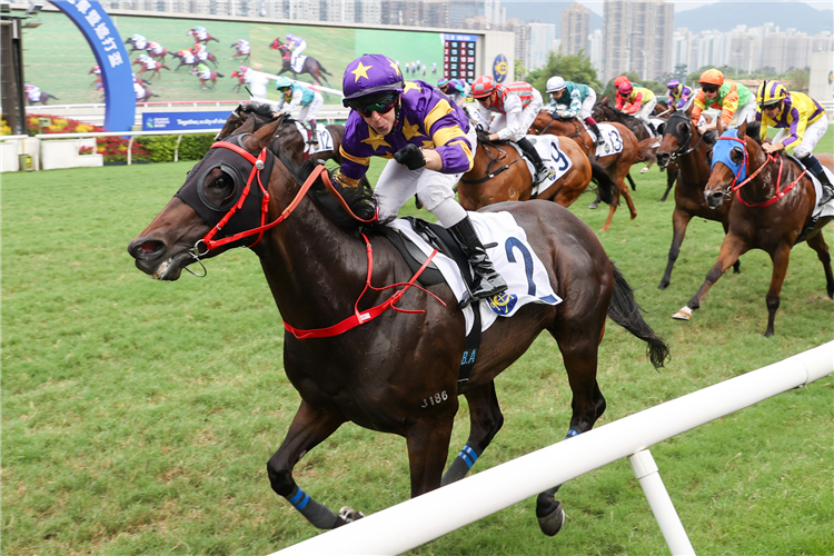 STELLAR EXPRESS winning the INDIGENOUS HANDICAP