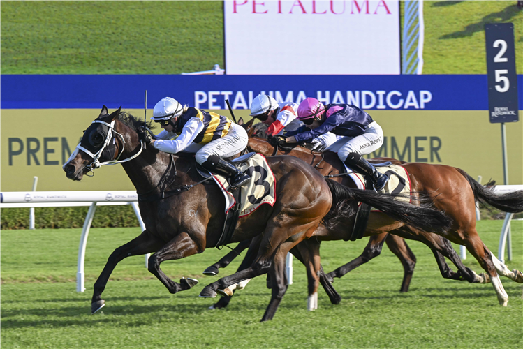 STEP ASIDE winning the PETALUMA HANDICAP