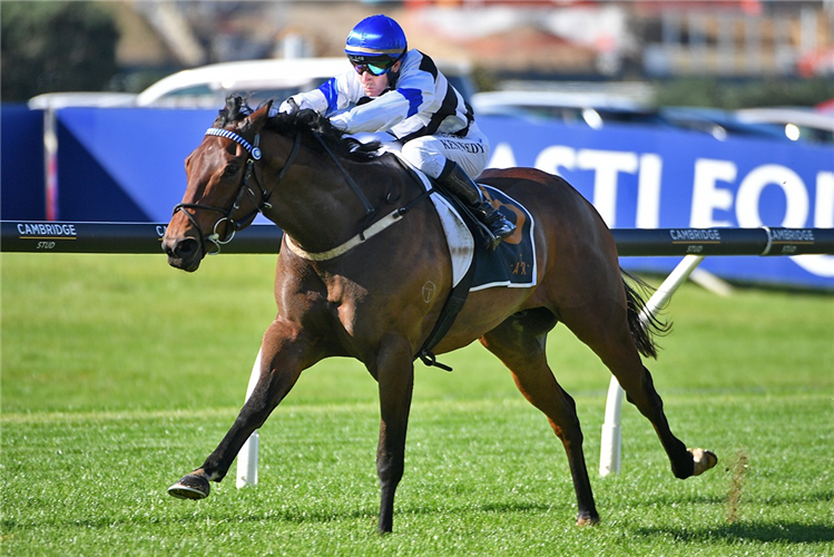 STERLING EXPRESS winning the NETWORK VISUALS