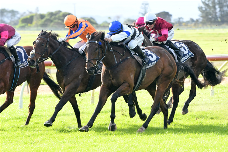 STERLING EXPRESS winning the ITM/GIB SPRINTERS CHAMPIONSHIP FINAL