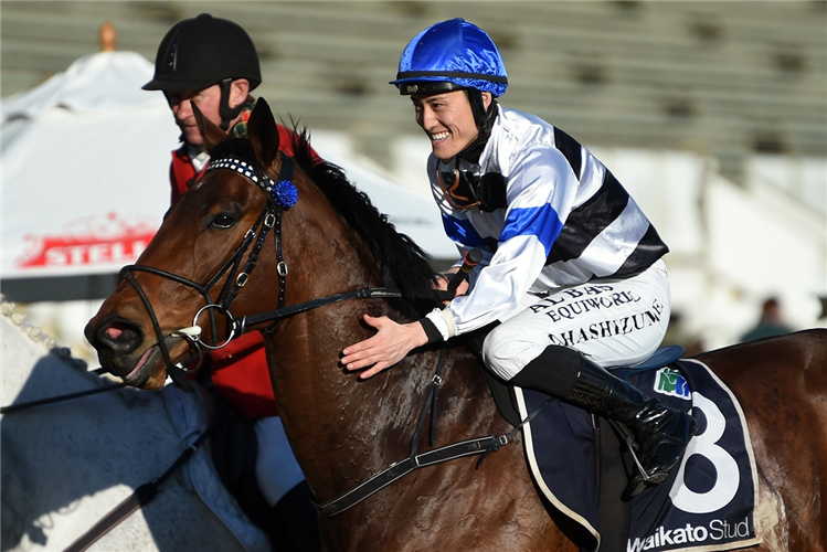 STERLING EXPRESS winning the WAIKATO STUD FOXBRIDGE PLATE