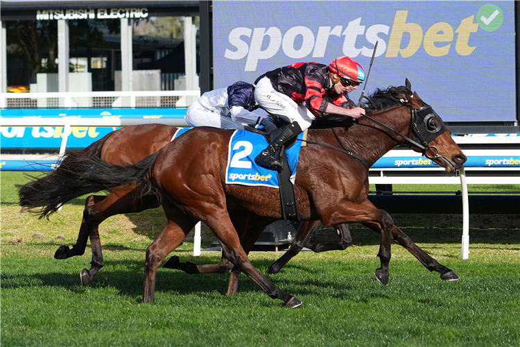 STOP THE ROCK winning the Sportsbet Same Race Multi Handicap at Caulfield in Australia.