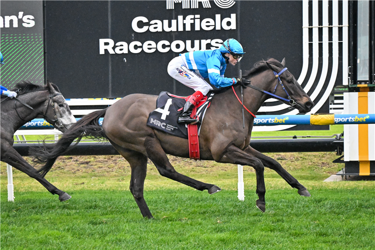 STYLISH SECRET winning the MRC Chairman's Club Handicap at Caulfield in Australia.