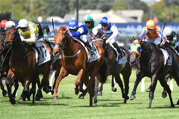 SUMMERSTON winning the KINGMAKERS SYNDICATION