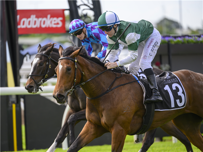 SUNRAYS winning the Nova 106.9 Show A Heart - Listed