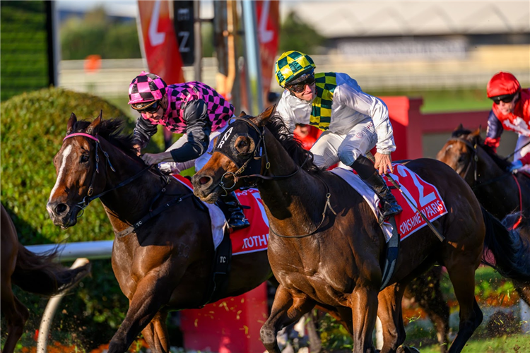 Sunshine In Paris wins the Doomben 10,000.