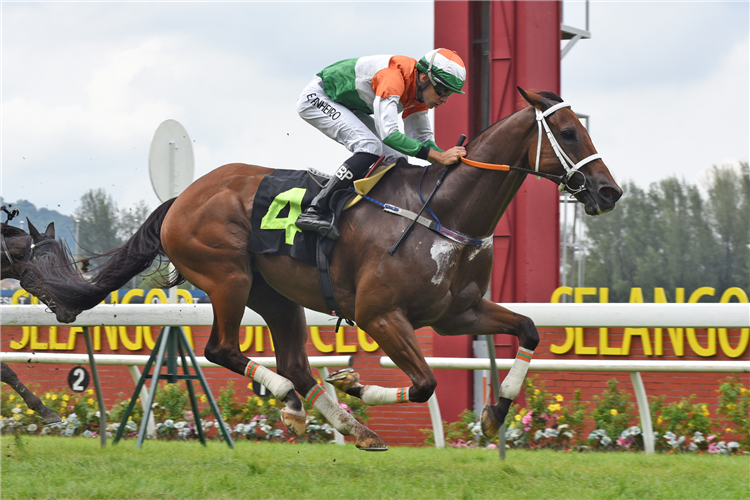 SUPER POSH winning the Jul 12 2025 Selangor MeetingGoing
