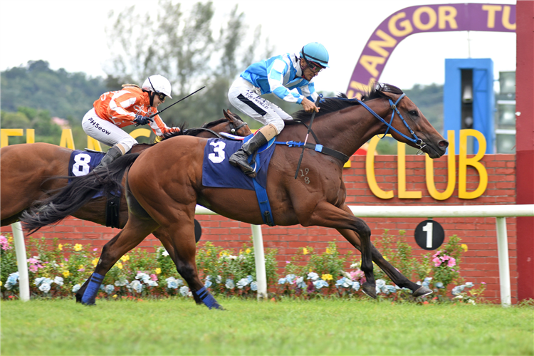 SUPER SALUTE winning the May 04 2025 Selangor Meeting Race 8
