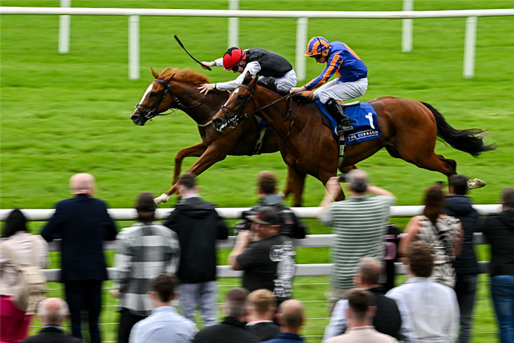 SUZIE SONGS winning the Anglesey Stakes at Curragh in Kildare.
