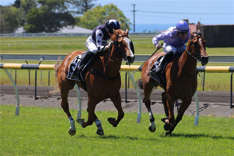 SWEET TALKIN GAL (outside) winning the GROUT MAIDEN 3YO
