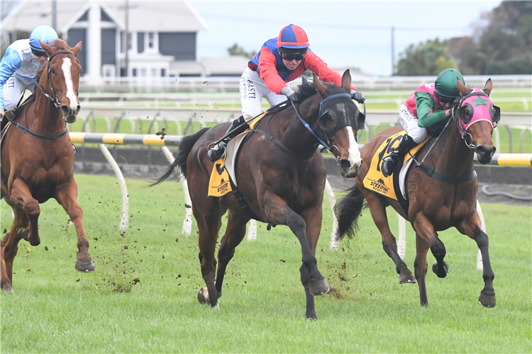 TAI winning the MARY LOUISE WELLINGTON CUP WINNER MDN 2YO & UP
