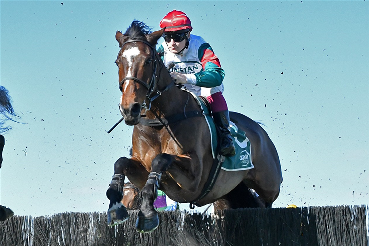 TAIKA winning the JONES TRUCKING HURDLE