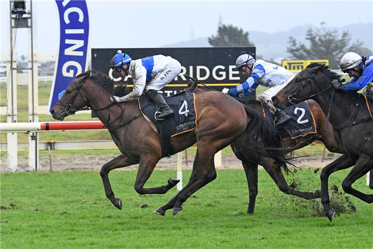 TAJANA winning the CAMBRIDGE STUD NORTHLAND BREEDERS STAKES