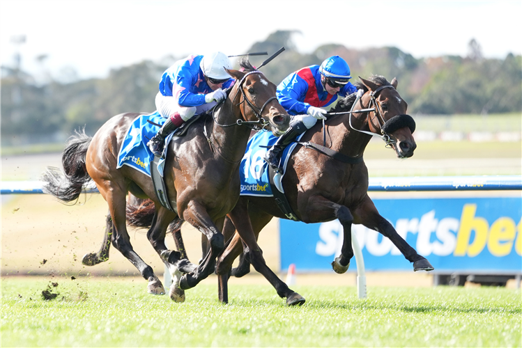 TAKEN winning the Sportsbet More Places Handicap at Sandown in Australia.