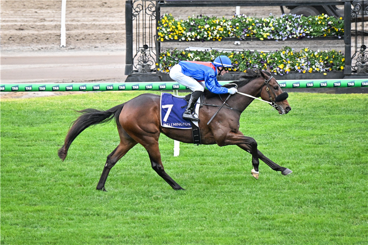 TAKEN winning the Darren Galley Mile at Flemington in Australia.