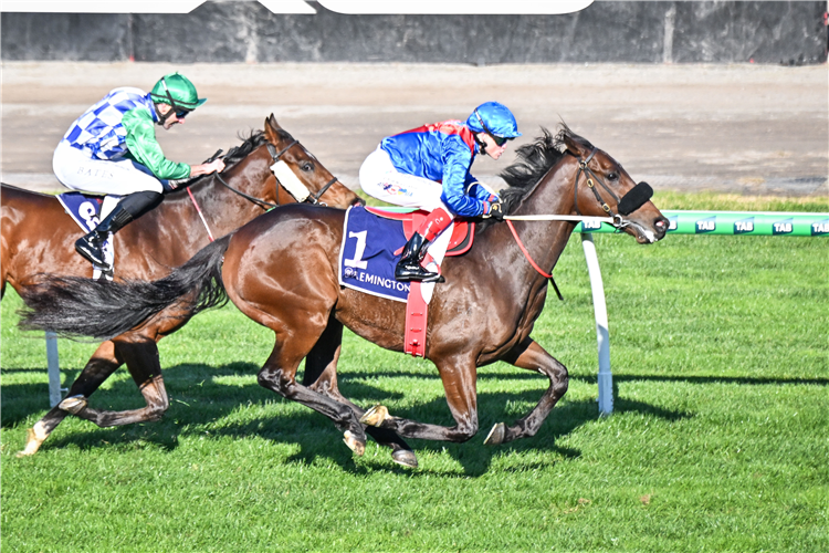 「特肯」在弗莱明顿举行的罗德约翰逊让磅赛中夺冠