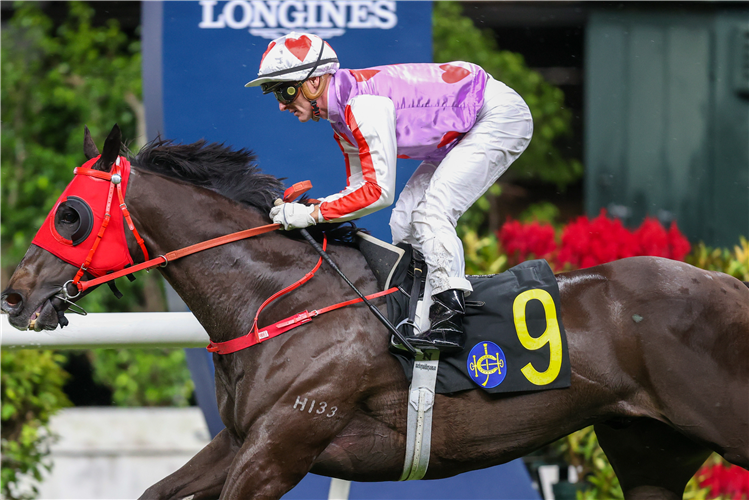 TALENTS SUPREMO winning the SUCCESS HANDICAP
