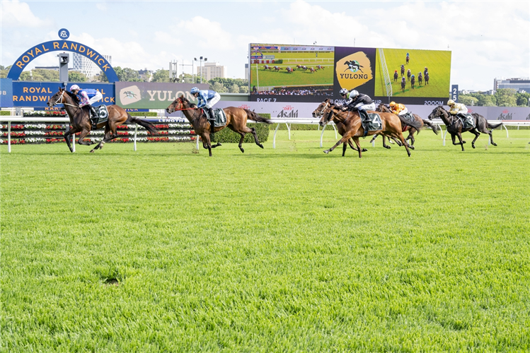「塔维时间」夺冠夏季杯