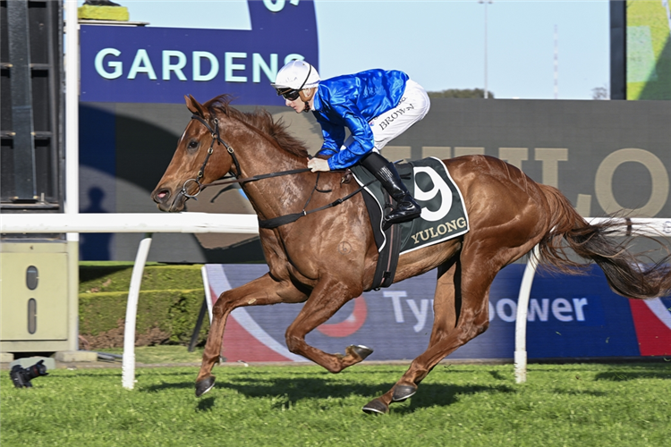 TEMPTED winning the YULONG RUN TO THE ROSE at Rosehill in Australia.