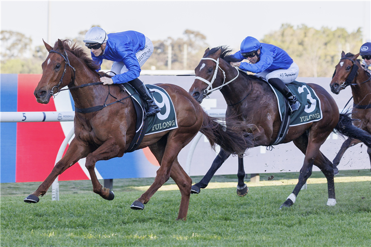 TEMPTED winning the YULONG RUN TO THE ROSE