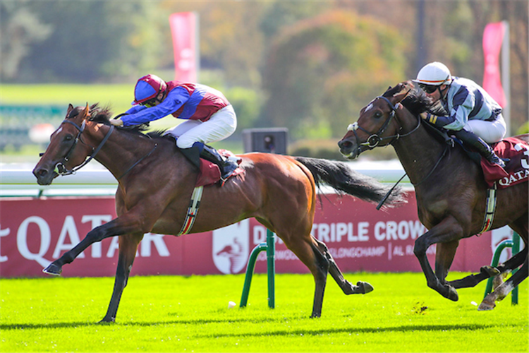 TENNESSEE STUD winning the Prix Chaudenay at Longchamp in France.