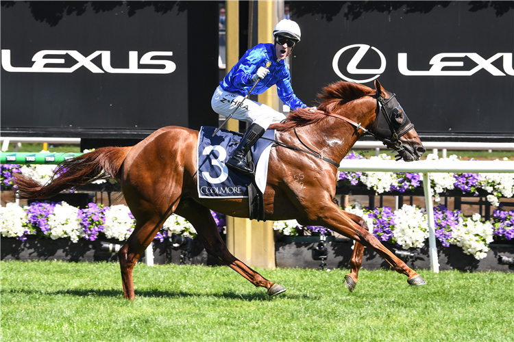 TENTYRIS winning the Stud Stakes at Flemington in Australia.