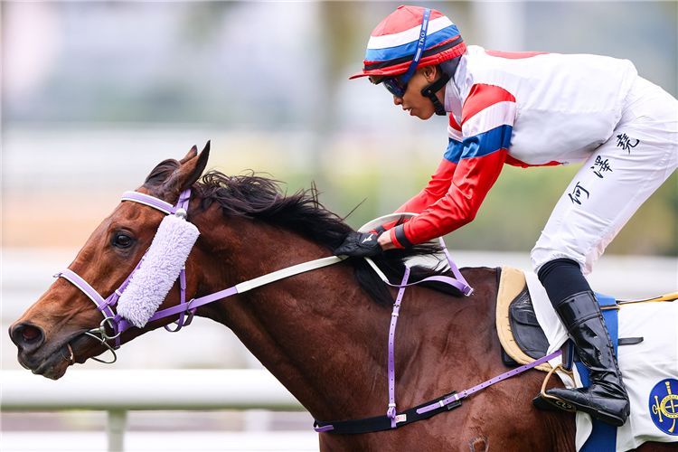 THE BOOM BOX winning the LAI CHI CHONG HANDICAP