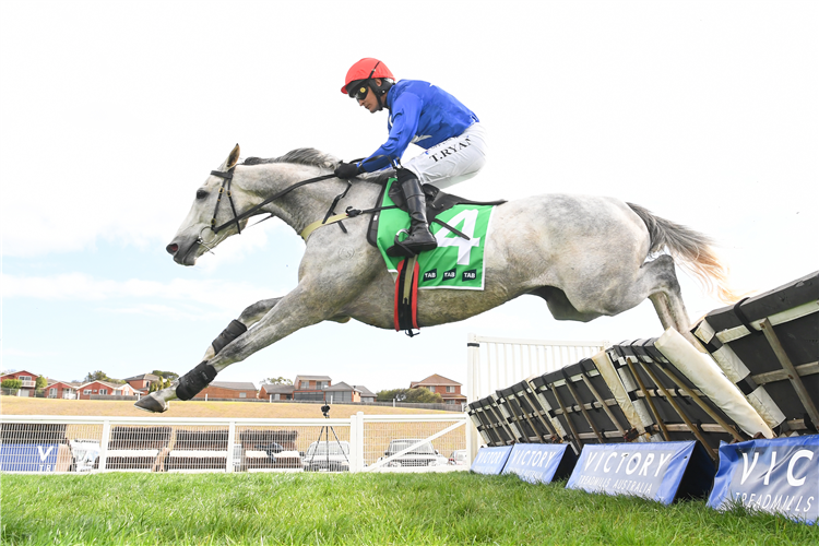 The Cunning Fox was a big winner on Day 2.