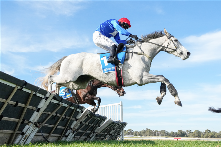 The Cunning Fox winning the Sportsbet Australian Hurdle at Sandown Lakeside in Australia.